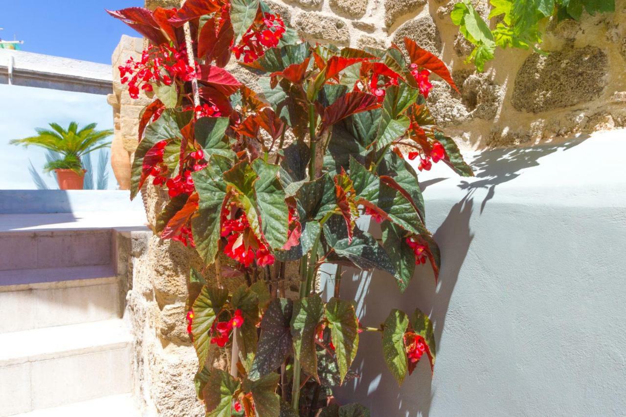 Colours - Old Town - Studios Rhodes City Exterior foto